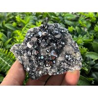 Galena Quarz Sphalerit Chalkopyrit Madan Bulgarien Natürliche Kristallmineralien Mustercluster Souvenirs Wholesalemineralsbox von migiminerals