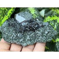 Galena-Quarz-Sphalerit Deveti Septemvri Mine- Madan Bulgarien - Natürliches Mineral Specimen Cluster von migiminerals