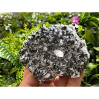Galena Quarz Sphalerit Pyrit Madan Bulgarien Natürliche Kristall Mineralien Muster Cluster Souvenirs von migiminerals
