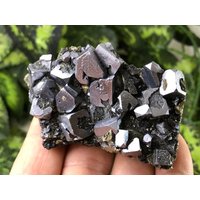 Galena | Skelett Sphalerit Chalkopyrit Madan Bulgarien Natürliche Kristall Mineralien Probestück Cluster-Souvenirs von migiminerals