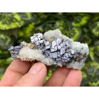 Galena | SkelettQuartz Madan Bulgarien Natürliche Kristallmineralien Mustercluster Souvenirs Wholesalemineralsbox von migiminerals