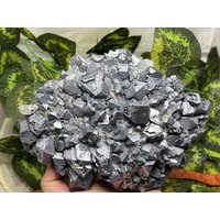Galena Sphalerit Quarz -Borieva Mine-Madan Bulgarien Natürlichen Kristallmineralien Probe Cluster Souvenirs von migiminerals