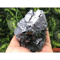Galena Sphalerit Quarz Chlorit Pyrit Madan Bulgarien Natürlichen Kristall Mineralien Probe Cluster Souvenirs von migiminerals