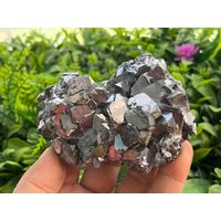 Galenit Pyrit Madan Bulgarien Natürliche Kristall Mineralien Probe Cluster Andenken von migiminerals