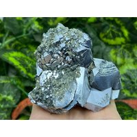 Galenit Pyrit Madan Bulgarien Natürliche Kristall Mineralien Probe Cluster Souvenirs Wholesalemineralsbox von migiminerals