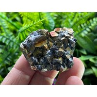 Galenit Pyrit Sphalerit Madan Bulgarien Natürliche Kristall Mineralien Probe Cluster Souvenirs Wholesalemineralsbox Galenit Pyrit Sphalerit Madan Bulgarien Natürliche Kristall Mineralien Probe Cluster Souvenirs Wholesalemineralsbox von migiminerals