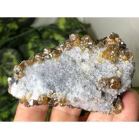 Gem Sphalerit | Kleophan Quarz Madan Bulgarien Natürlichen Kristall Mineralien Muster Cluster Souvenirs von migiminerals