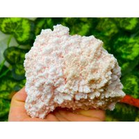 Manganocalcit Rhodochrosit Madan Bulgarien Natürliche Kristall Mineralien Probe Cluster Souvenirs von migiminerals