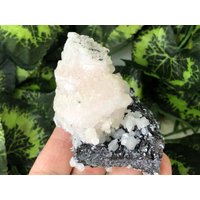 Manganocalcit Sphalerit Galenit Pyrit Madan Bulgarien Natürliche Kristall Mineralien Probe Cluster Souvenirs von migiminerals