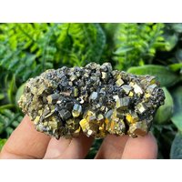 Pyriamazing E Sphalerit-Quarz-Gyudyurska Mine-Erma Reka Bulgarien Pyriamazing E Sphalerit-Quarz-Gyudyurska Mine-Erma Reka Bulgarien von migiminerals