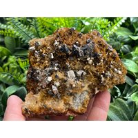 Pyriamazing Quarz-E Limonit Sphalerit Djerkovo Mine-Lucky Bulgarien Natürliche Mineralien Mustercluster von migiminerals