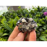 Pyrie Quarz Sphalerit Limonit Deveti Septemvri Mine Madan Bulgarien von migiminerals