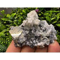 Pyrie Sphalerit Quarz Calcit Madan Bulgarien Natürliche Kristallmineralien Mustercluster Pyrie Sphalerit Quarz Calcit Madan Bulgarien Natürliche Kristallmineralien Mustercluster von migiminerals