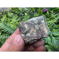 Pyrit Bulgarien Natürliche Kristallmineralien Mustercluster Souvenirs Wholesalemineralsbox Pyrit Bulgarien Natürliche Kristallmineralien Mustercluster Souvenirs Wholesalemineralsbox von migiminerals