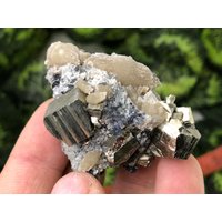 Pyrit Calcit Madan Bulgarien Natürliche Kristall Mineralien Probe Cluster Souvenirs von migiminerals