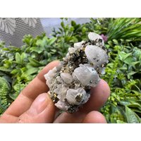 Pyrit Calcit Sphalerit Galena Quarz Madan Bulgarien Natürliche Kristallmineralien Probe Muster Clusters Souvenirs Wholesalemineralsbox Pyrit Calcit Sphalerit Galena Quarz Madan Bulgarien Natürliche Kristallmineralien Probe Muster Clusters Souvenirs Wholesalemineralsbox von migiminerals