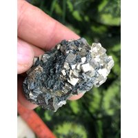Pyrit Chlorit Madan Bulgarien Natürliche Kristallmineralien Probe Cluster Souvenirs von migiminerals