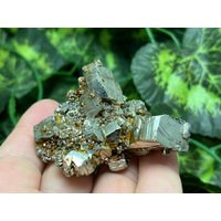Pyrit | Double Fase Madan Bulgarien Natürliche Kristall Mineralien Probe Cluster Souvenirs Wholesalemineralsbox von migiminerals