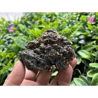 Pyrit Galena Sphalerit Madan Bulgarien Natürliche Kristallmineralien Mustercluster Souvenirs Wholesalemineralsbox von migiminerals