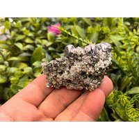 Pyrit Galena Sphalerit Quarz Borieva Mine Madan Bulgarien Kristallmineralien Probe Pyrit Galena Sphalerit Quarz Borieva Mine Madan Bulgarien Kristallmineralien Probe von migiminerals