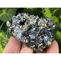Pyrit-Galena-Sphalerit-Quarz Borieva Mine-Madan Bulgarien Pyrit-Galena-Sphalerit-Quarz Borieva Mine-Madan Bulgarien von migiminerals
