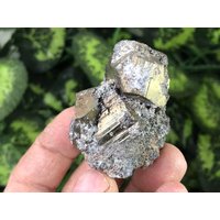 Pyrit Madan Bulgarien Natürliche Kristall Mineralien Probe Cluster Souvenirs von migiminerals