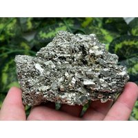 Pyrit Morphologie Madan Bulgarien Natürliche Kristall Mineralien Probe Cluster Souvenirs Wholesalemineralsbox von migiminerals