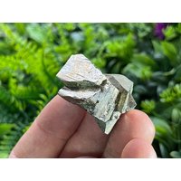 Pyrit Morphologie Madan Bulgarien Natürliche Kristallmineralien Probe Clusters Souvenirs Wholesalemineralsbox von migiminerals