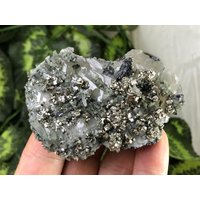 Pyrit Quarz Calcit Madan Bulgarien Natürliche Kristallmineralien Muster Cluster Souvenirs von migiminerals