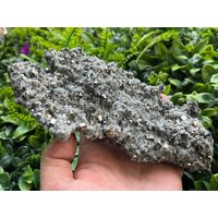Pyrit Quarz Chlorit Madan Bulgarien Natürliche Kristall Mineralien Probe Cluster Souvenirs Wholesalemineralsbox von migiminerals
