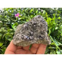 Pyrit Quarz Galena Madan Bulgarien Natürliche Kristall Mineralien Muster Cluster Souvenirs von migiminerals