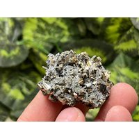 Pyrit Quarz Hämatit Madan Bulgarien Natürliche Kristallmineralien Probe Clusters Souvenirs Wholesalemineralsbox von migiminerals