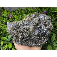 Pyrit Quarz Sphalerit Galena Madan Bulgarien Natürliche Kristall Mineralien Muster Cluster Souvenirs von migiminerals