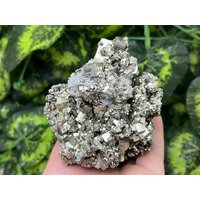 Pyrit Quarz Madan Bulgarien Natürliche Kristallmineralien Muster Cluster Souvenirs Wholesalemineralsbox von migiminerals