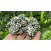 Pyrit Quarz Madan Bulgarien Natürliche Kristallmineralien Muster Cluster Souvenirs Wholesalemineralsbox von migiminerals