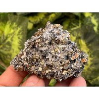 Pyrit Quarz Sphalerit Galena Madan Bulgarien Natürliche Kristall Mineralien Probe Cluster Souvenirs Wholesalemineralsbox von migiminerals