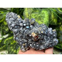 Pyrit Sphalerit Galena Quartz Madan Bulgarien Natürliche Kristall Mineralien Probe Cluster Souvenirs Wholesalemineralsbox von migiminerals