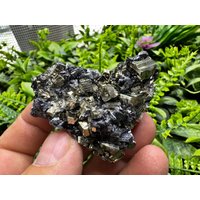 Pyrit Sphalerit Quarz Borieva Mine-Madan Bulgarien Natürliche Kristallmineralien Probe von migiminerals