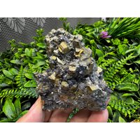 Pyrit Sphalerit Quarz Limonit Deveti Sptemvri Mine Madan Bulgarien Pyrit Sphalerit Quarz Limonit Deveti Sptemvri Mine Madan Bulgarien von migiminerals