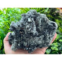 Pyriwunderschöne Quarz Sphalerit Chalkopyrit Deveti Septemvri Mine Madan Bulgarien Pyriwunderschöne Quarz Sphalerit Chalkopyrit Deveti Septemvri Mine Madan Bulgarien von migiminerals