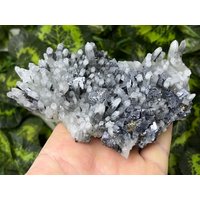 Quartz Galenit Sphalerit Pyrit Madan Bulgarien Natürliche Kristall Mineralien Probe Cluster Souvenirs Wholesalemineralsbox von migiminerals