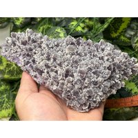 Quarz Amethyst Phantom Chala Mine Bulgarien Natürliche Kristall Mineralien Probe Cluster Souvenirs von migiminerals