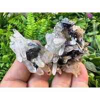 Quarz-Calcit-Sphalerit-Galenastein Krushev Dol Mine-Madan Bulgarien Quarz-Calcit-Sphalerit-Galenastein Krushev Dol Mine-Madan Bulgarien von migiminerals