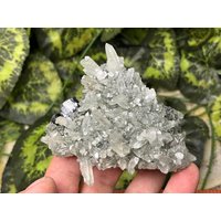 Quarz Calcit Sphalerit Madan Bulgarien Natürliche Kristallmineralien Mustercluster Souvenirs Wholesalemineralsbox von migiminerals