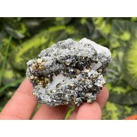 Quarz Calcit Sphalerit Pyrit Galena Deveti September Mine - Madan Bulgarien Quarz Calcit Sphalerit Pyrit Galena Deveti September Mine - Madan Bulgarien von migiminerals