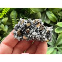 Quarz Chalcopyrit Madan Bulgarien Natürliche Kristall Mineralien Probe Cluster Souvenirs Wholesalemineralsbox von migiminerals