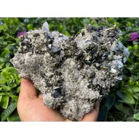 Quarz Chalkopyrit Pyrit Sphalerit Galena -Krushev Dol Mine-Madan Bulgarien Kristallmineralien Natürliche Quarz Chalkopyrit Pyrit Sphalerit Galena -Krushev Dol Mine-Madan Bulgarien Kristallmineralien Natürliche von migiminerals