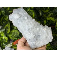 Quarz | Chalzedon Madan Bulgarien Natürliche Kristallmineralien Muster Cluster Souvenirs Wholesalemineralsbox von migiminerals