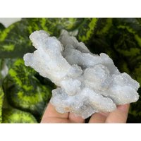 Quarz | Chalzedon Madan Bulgarien Natürliche Kristallmineralien Mustercluster Souvenirs Wholesalemineralsbox von migiminerals