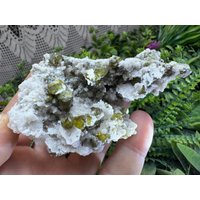 Quarz | Chalzedon Sphalerit | Kleophan Madan Bulgarien Natürlichen Kristall Mineralien Probe Clusters Souvenirs Wholesalemineralsbox Quarz | Chalzedon Sphalerit | Kleophan Madan Bulgarien Natürlichen Kristall Mineralien Probe Clusters Souvenirs Wholesalemineralsbox von migiminerals